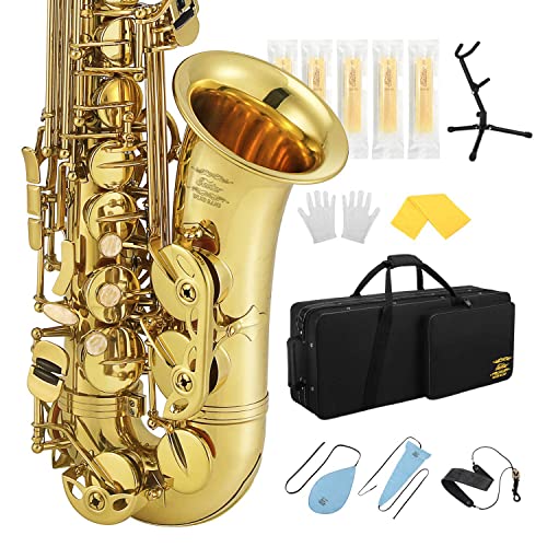 Eastar Student Saxophone Carrying Mouthpiece
