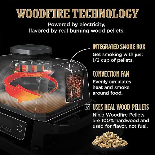 Ninja Woodfire Included Portable Electric