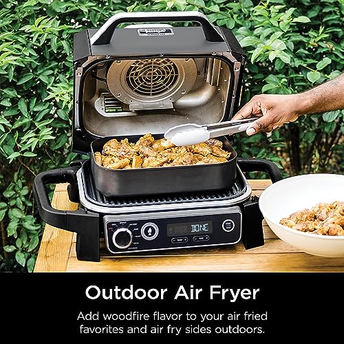 Ninja Woodfire Included Portable Electric