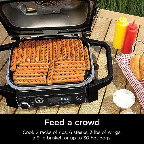 Ninja Woodfire Included Portable Electric