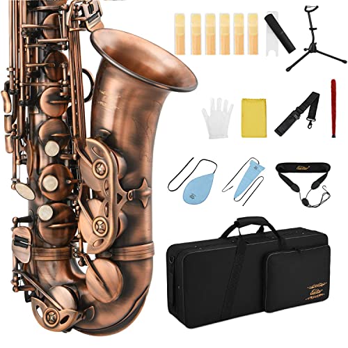 Eastar Student Saxophone Carrying Mouthpiece