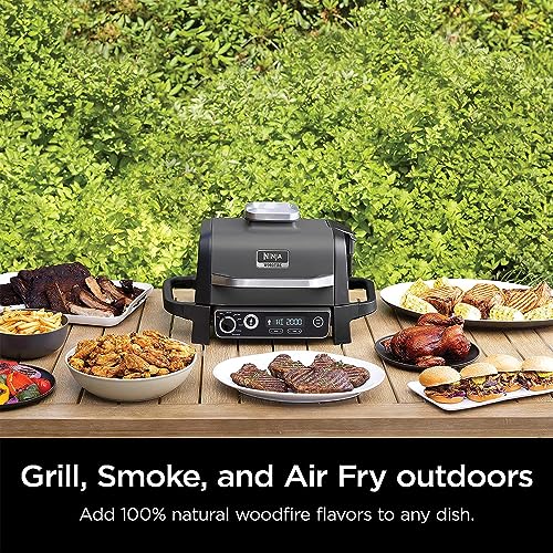 Ninja Woodfire Included Portable Electric