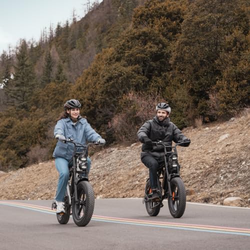 ENGWE Electric Autonomy Off Road Suspension