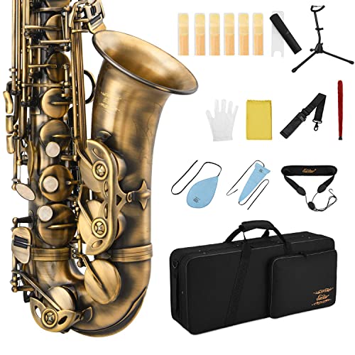Eastar Student Saxophone Carrying Mouthpiece