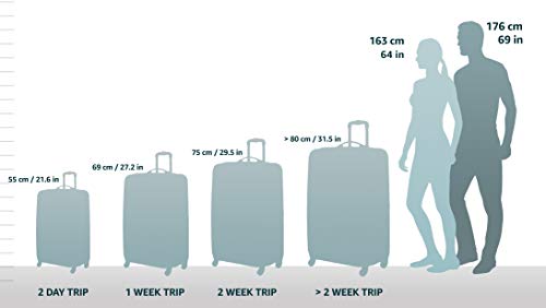 Samsonite Paradiver Duffle wheels Strictcabine