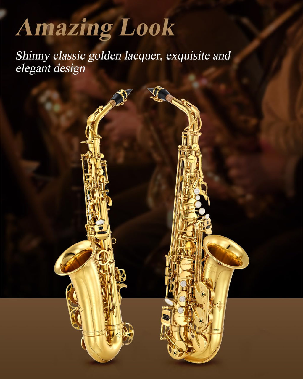 Eastar Student Saxophone Carrying Mouthpiece