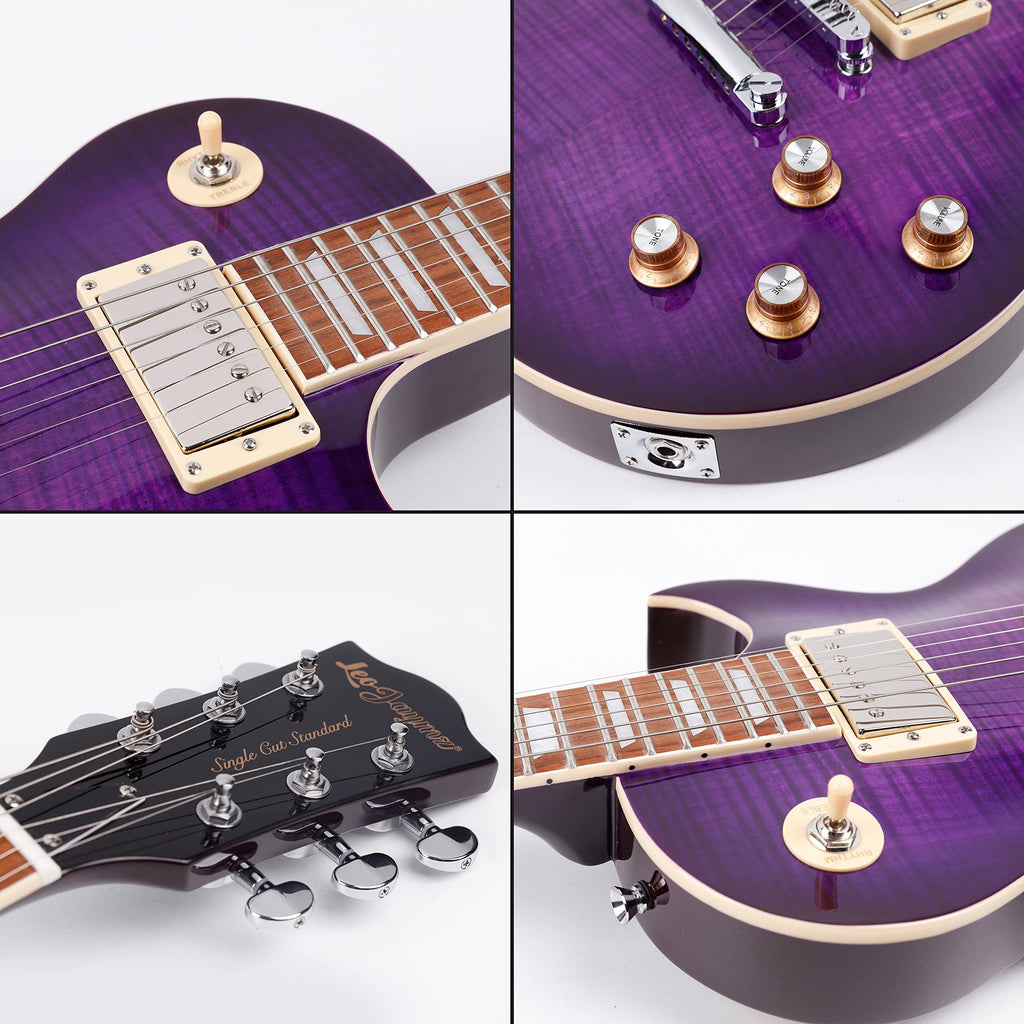 Leo Jaymz Electric Guitar Style