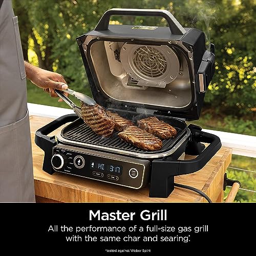Ninja Woodfire Included Portable Electric