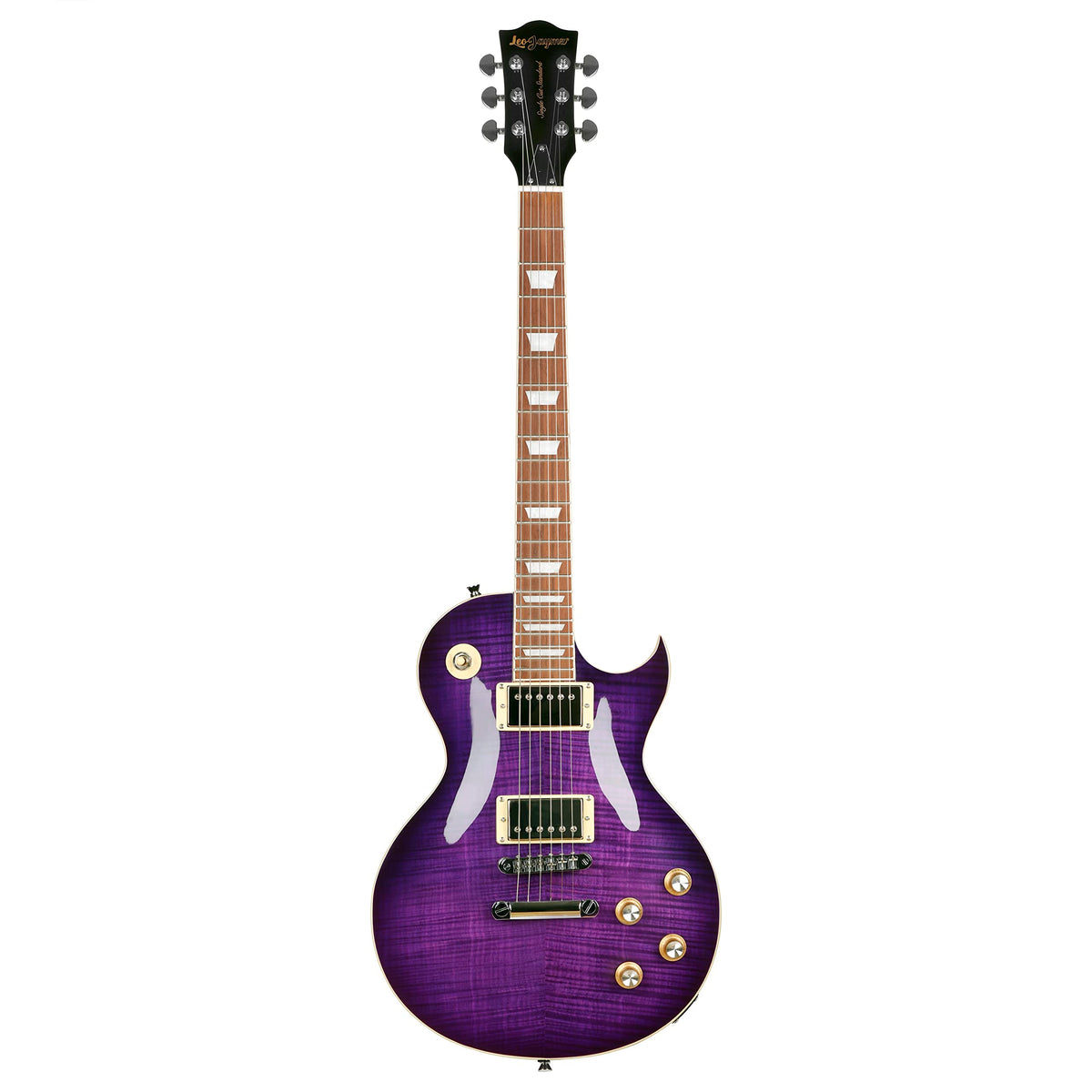 Leo Jaymz Electric Guitar Style